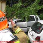 Baum stürzte auf fahrenden PKW