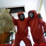 Stadtfeuerwehr Bleiburg lebt Bürgerservice und aktiviert Wespenhotline