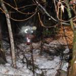 Verkehrsunfall in Jochberg