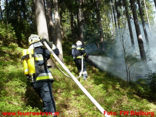 FF Bleiburg: Waldbrand in Woroujach