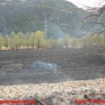 FF Gaishorn/See: Schilfgürtelbrand nahe Treglwang