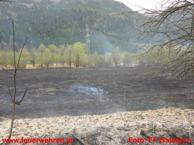 FF Gaishorn/See: Schilfgürtelbrand nahe Treglwang