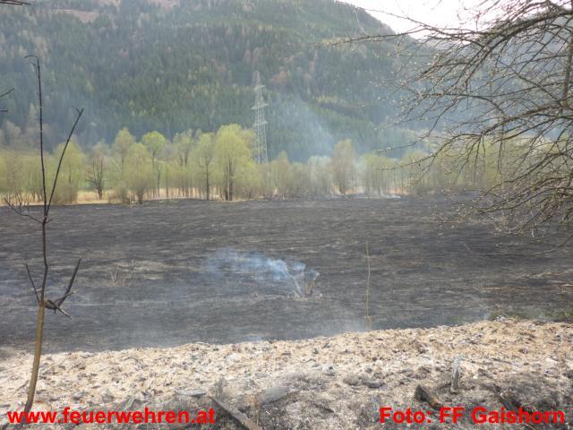 FF Gaishorn/See: Schilfgürtelbrand nahe Treglwang