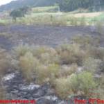 Schilfgürtelbrand nahe Treglwang  fordert Einsatzkräfte