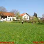 Ohlsdorfer FW-Männer als "Rodeos" im tierischen Einsatz