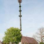 Tatkräftige Unterstützung beim Maibaum-Aufstellen