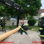 Maibaum in Ohlsdorf bei Sturm beschädigt und umgelegt