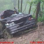 Bezirks-Waldbrandübung (FuB-Übung)