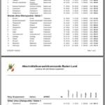 Feuerwehrleistungsbewerb des Abschnittes Baden–Land in Bronze und Silber