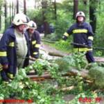Sturmschaden - Baum nach Blitzschlag quer über Fahrbahn