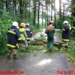 Sturmschaden - Baum nach Blitzschlag quer über Fahrbahn