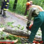 Sturmschaden - Baum nach Blitzschlag quer über Fahrbahn