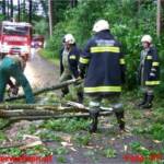 Sturmschaden - Baum nach Blitzschlag quer über Fahrbahn