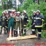 Sturmschaden - Baum nach Blitzschlag quer über Fahrbahn