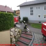 Vögel in Dachrinne gefangen