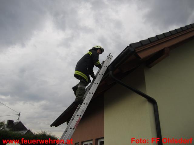 FF Ohlsdorf: Vögel in Dachrinne gefangen