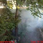 Brand einer Selche und eines Holzstoßes