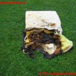 Wohnungsbrand Rosegger Allee