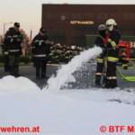 Erfolgreiche Branddienstleistungsprüfung der Betriebs-FW Magna Steyr