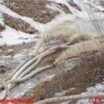 Überflutung durch Scheeschmelze - Materialschlacht in Ehrenfeld