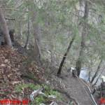 "Wörschachwaldbrand": Hundertschaft an Florianijüngern verhinderte Katastrophe