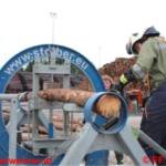 Forst-Fachschulung - Richtiges Arbeiten mit der Motorkettensäge