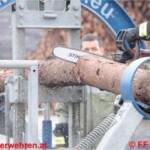 Forst-Fachschulung – Richtiges Arbeiten mit der Motorkettensäge