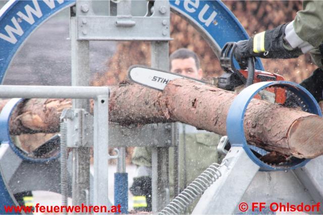 Forst-Fachschulung – Richtiges Arbeiten mit der Motorkettensäge