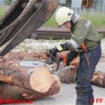 Forst-Fachschulung - Richtiges Arbeiten mit der Motorkettensäge