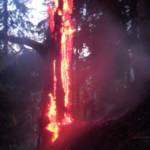 Waldbrand in Donnersbachwald