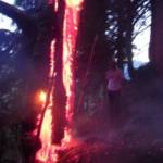 Waldbrand in Donnersbachwald