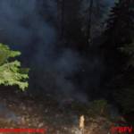 Waldbrand in Donnersbachwald