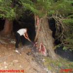 Waldbrand in Donnersbachwald