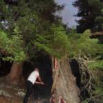 Waldbrand in Donnersbachwald