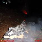 Waldbrand in Donnersbachwald