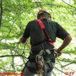 Paragleiter abgestürzt - Einsatzübung in den Traunauen mit der Bergrettung