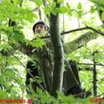 Paragleiter abgestürzt - Einsatzübung in den Traunauen mit der Bergrettung