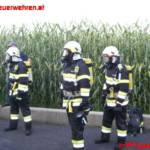 Brand in Schweinestall – unzählige Tiere vor dem Ersticken gerettet