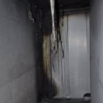 Brand in Schweinestall – unzählige Tiere vor dem Ersticken gerettet