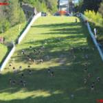 Red Bull 400 - Sturm auf den Kulm