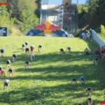 Red Bull 400 - Sturm auf den Kulm