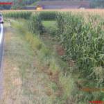 Verkehrsunfall in Aichegg fordert Hubschraubereinsatz