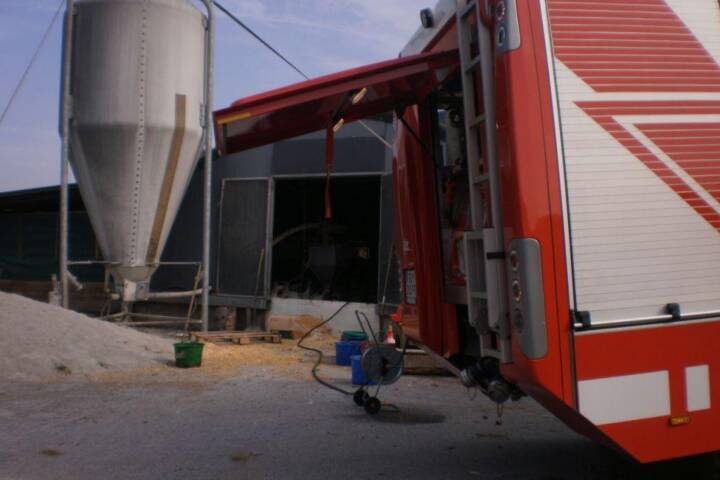 FF Stiwoll rettete 1000 Puten vor dem Tod