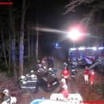 Verkehrsunfall mit einer eingeklemmten Person