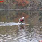 Zeitungsständer und Geldwechselautomat aus der Traun geborgen