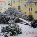 Einsätze im Stadtgebiet