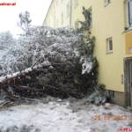 Einsätze im Stadtgebiet