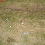 Ohlsdorfer Landesstraße von Feuerwehrjugend gereinigt