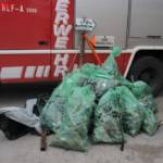 Ohlsdorfer Landesstraße von Feuerwehrjugend gereinigt