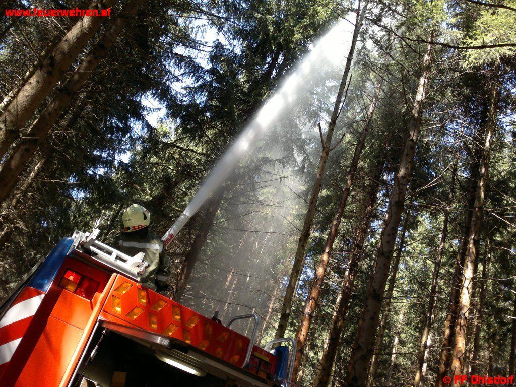 FF Ohlsdorf: Modellflugzeug löste Brandeinsatz aus